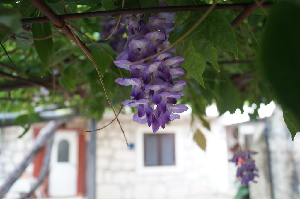 Apartments Stinice Gradac  Exteriér fotografie